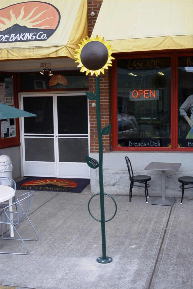 sunblaze old bike rack